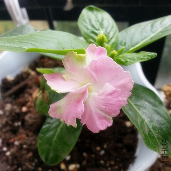 20150301_101306_����.jpg