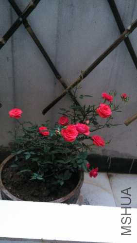 IMG_20150302_174853.jpg