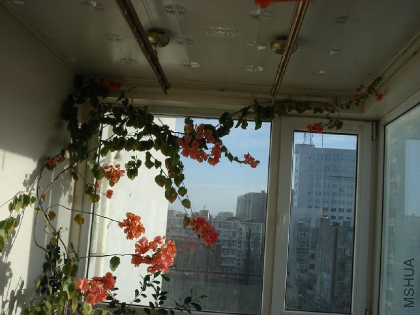 DSC023.JPG