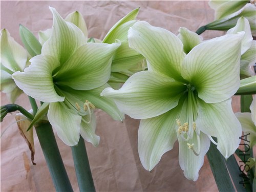 20150311_160853.jpg