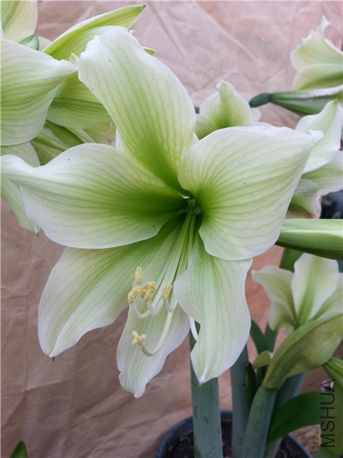 20150311_160857.jpg