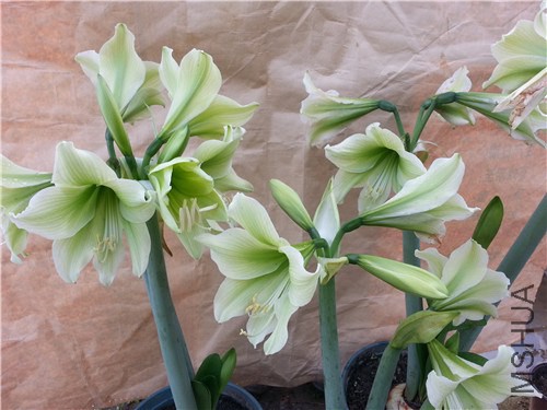 20150311_160907.jpg
