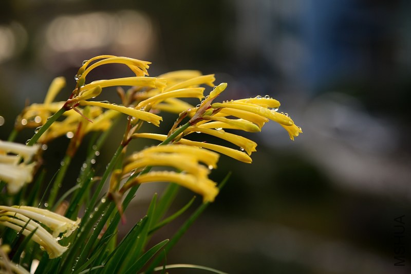 DSC_0906.jpg