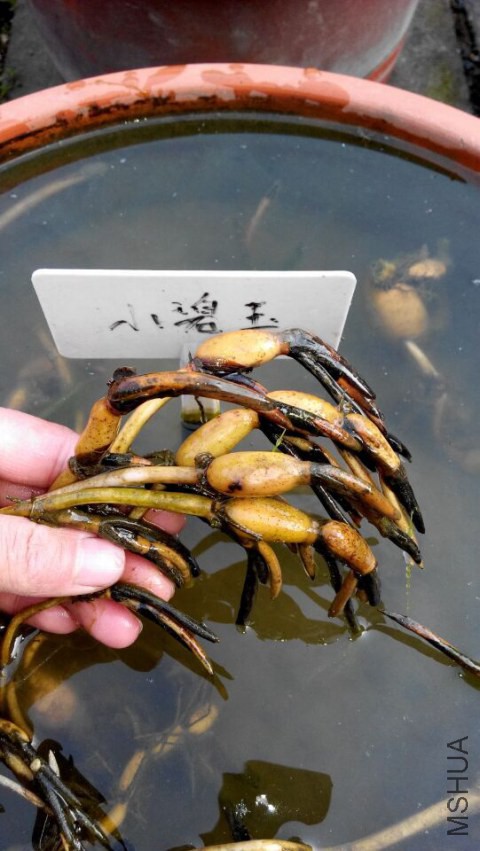 QQͼƬ20150312083349.jpg