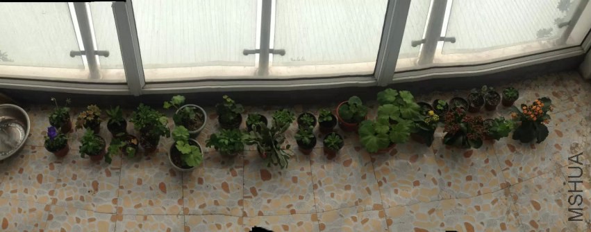 �ҵ���ɫ��