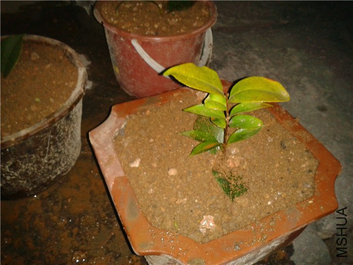 2015-02-11 19.23.38.jpg