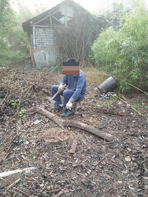 ɣ���ķ�ֳ����ǿ������ɣ�����ڵ��Ͼͻ�ð���ܶ�С���磬ÿ�ΰε����Ϸ����ˣ����Կ����������ǿ����ˣ�