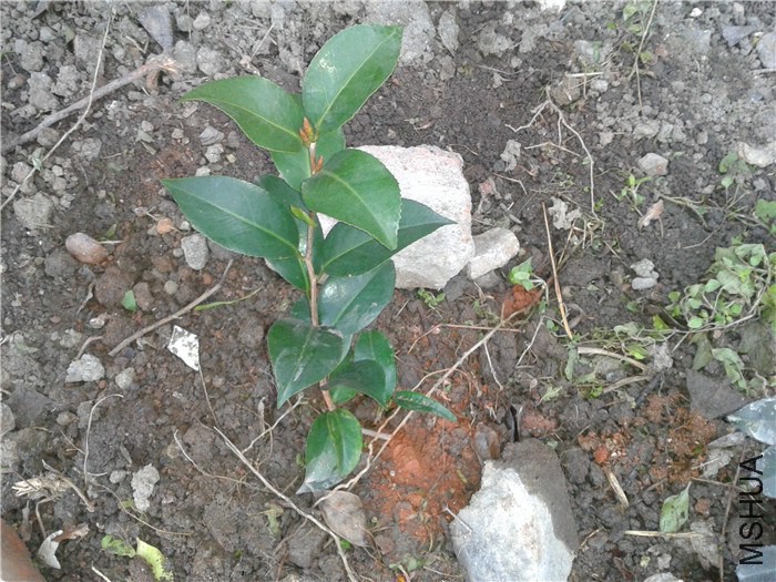 2015-02-12 07.12.10.jpg