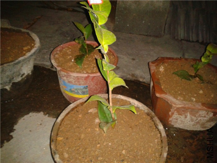 2015-02-11 19.23.29.jpg