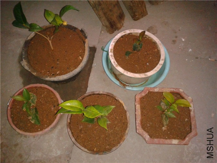 2015-02-12 07.09.45.jpg