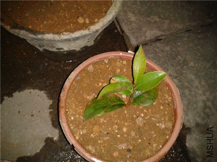 2015-02-11 19.23.45.jpg