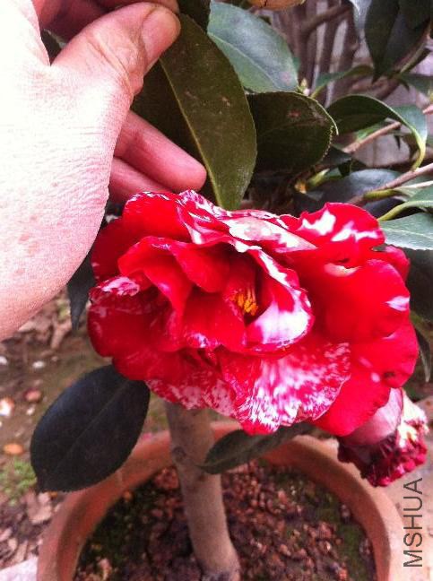 ��Ƭ 094.jpg