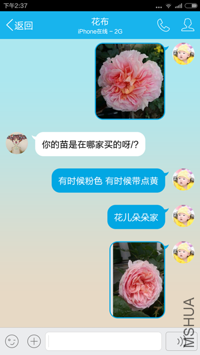 3.png