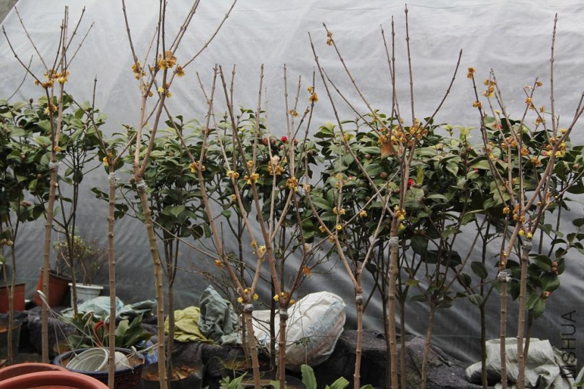 �ϼ�һ���ֻ������ļ���