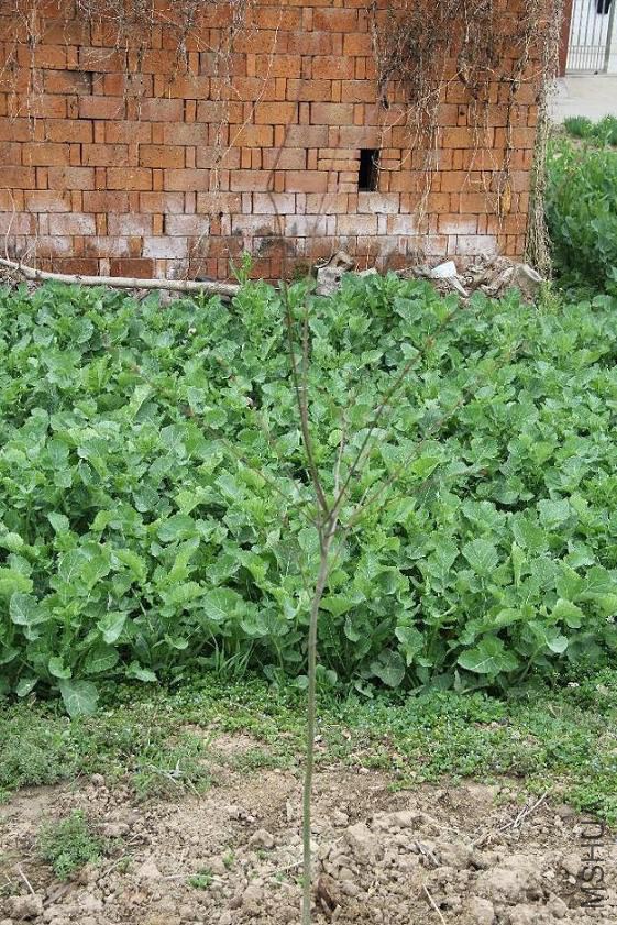 ��������ë�����ں��ԭ�ȵĵط������ֻ��Ų��ǽ���ˣ�