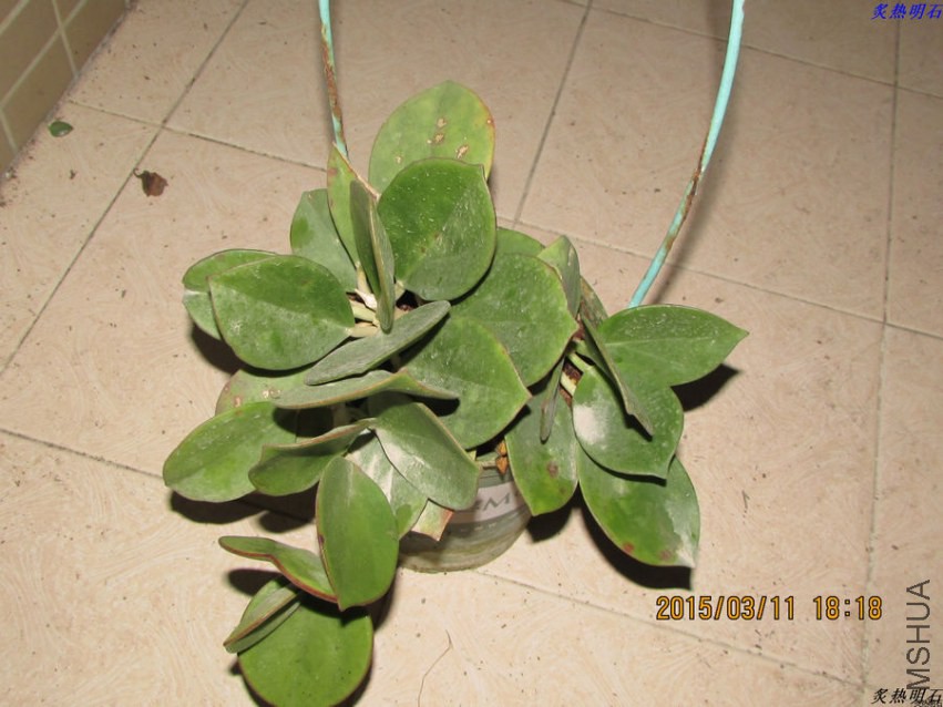 IMG_0058_nEO_IMG.jpg