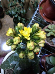 QQ��ͼ20150313100057.png