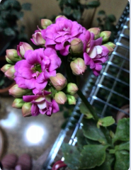 QQ��ͼ20150313100113.png