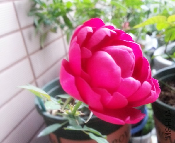 20141203_073431_����.jpg