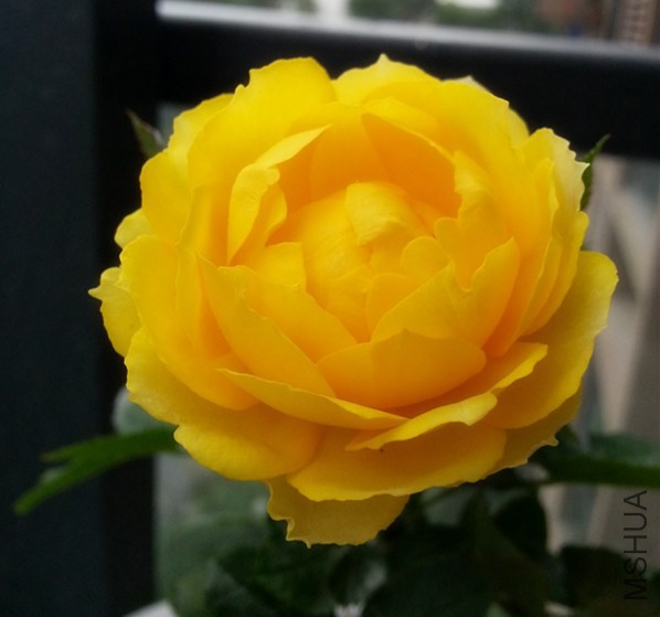 20141208_085040_����.jpg