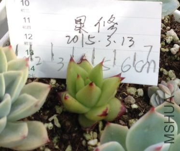 QQͼƬ20150313143959.png