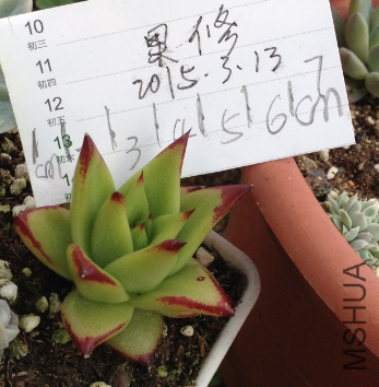 QQͼƬ20150313143956.png
