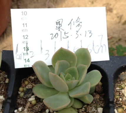 QQͼƬ20150313143942.png