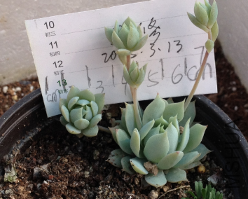 QQͼƬ20150313144516.png