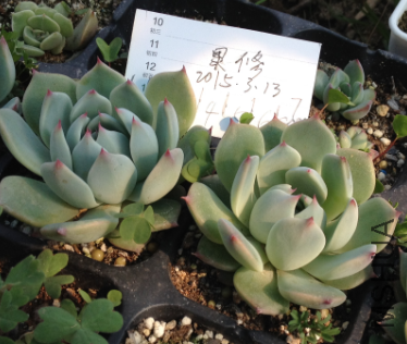 QQͼƬ20150313144713.png