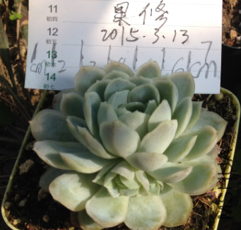 QQͼƬ20150313144828.png