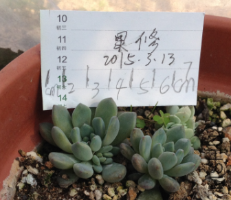 QQͼƬ20150313145049.png