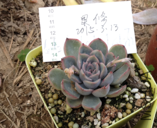 QQͼƬ20150313145623.png