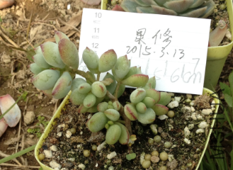 QQͼƬ20150313145643.png