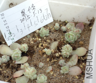 QQͼƬ20150313145740.png