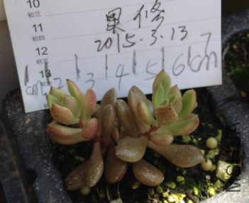 QQͼƬ20150313145802.png
