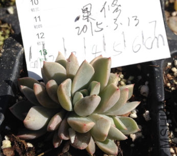 QQͼƬ20150313145823.png