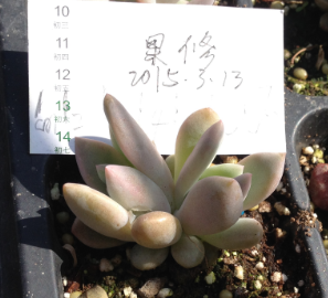 QQͼƬ20150313145845.png