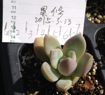 QQͼƬ20150313145907.png
