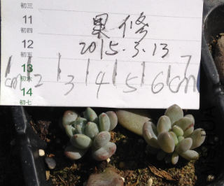 QQͼƬ20150313145930.png