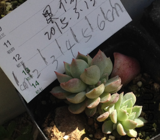 QQͼƬ20150313145953.png
