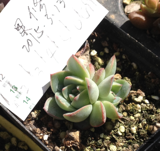 QQͼƬ20150313150013.png