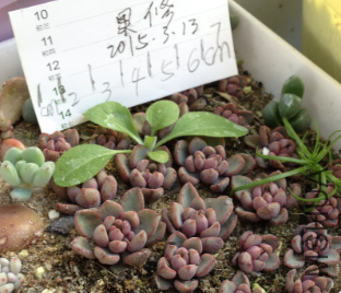QQͼƬ20150313150035.png