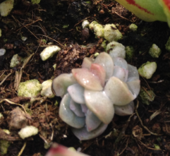 QQͼƬ20150312115705.jpg