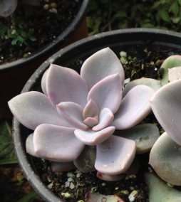 QQͼƬ20150312125512.png