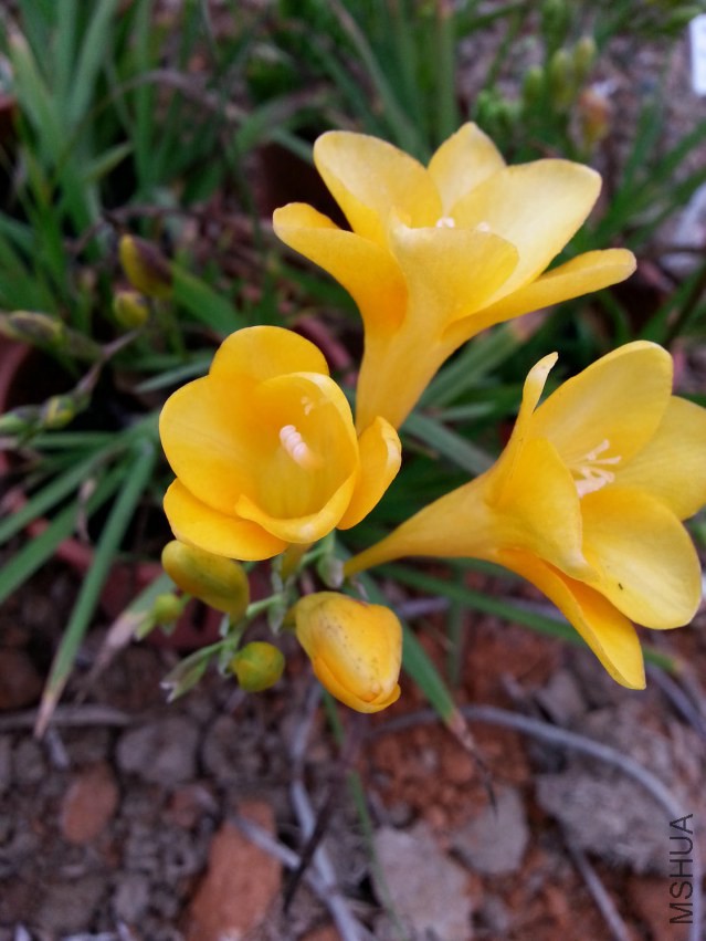 20150310_175745.jpg