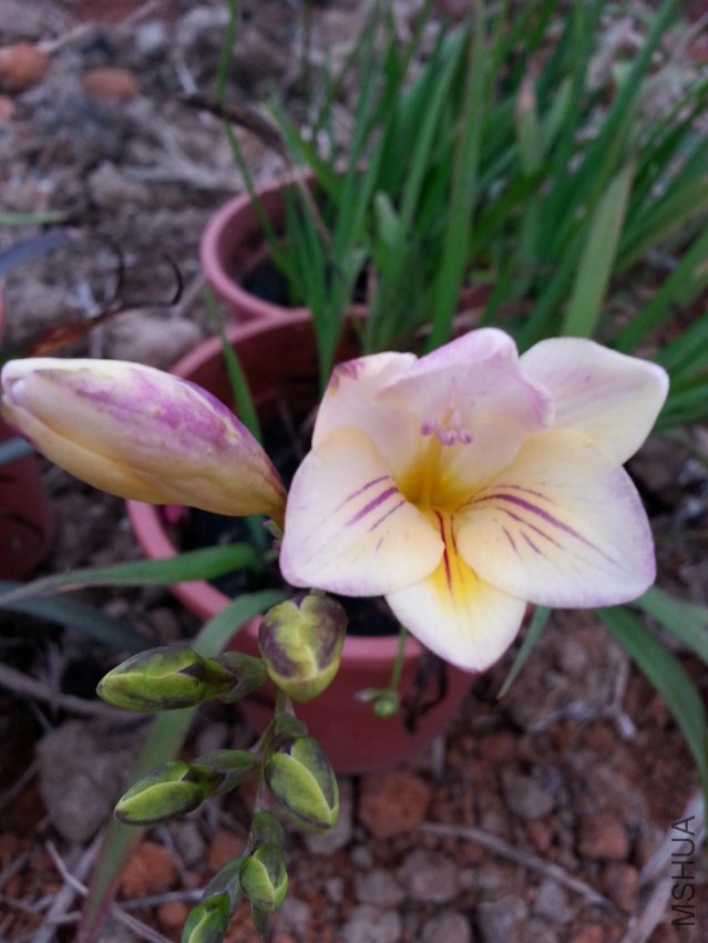 20150311_181533.jpg