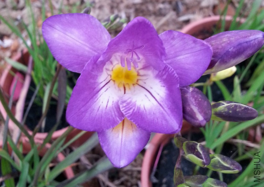 20150311_181540.jpg