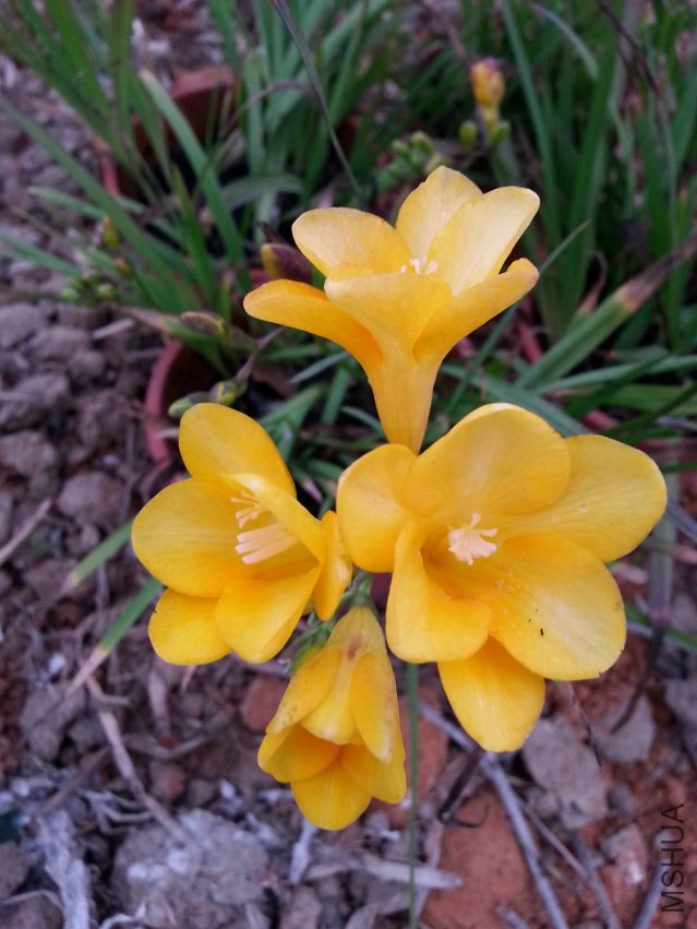20150311_181550.jpg