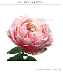 0161325F-8C49-4771-9444-F24955245CEF.png