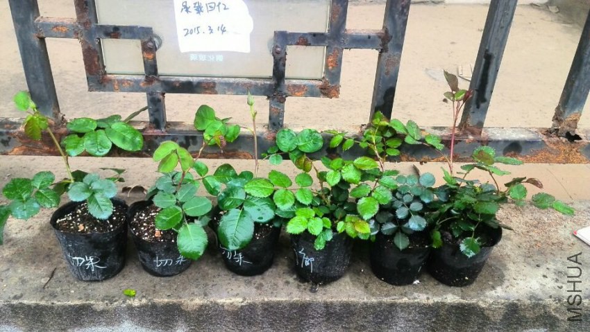 ���졢����